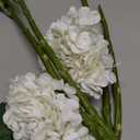 Buart 4PCS Long Stem Big Size White Flowers Artificial Silk Hydrangea Lifelike Flowers Real Touch White Artificial Flowers Wedding Shower Bride Bouquets Office Living Room Table Decorations (21 Inch)