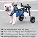 Adjustable Small Dog Wheelchair - Mobility Aid for Disabled Pets,Small Dog Wheelchair for Back Legs Leg Brace & Hip Support (Medium)