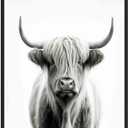 Highland Cow Art Prints Posters, Black and White Animal Photography Wall Art, Wildlife Nature Photo, Exotic Animal Wall for Bathroom Bedroom Decor 71 (Highland Cow, 20"L x 16"W, Unframed)