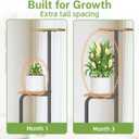 iDavosic.ly Tall Plant Stand Indoor, 4 Tier Corner Multiple Flower Holder Shelf with Wooden Trays, Space Saving Display Rack for Living Room Balcony Patio Porch Outdoor | Black & Brown