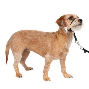 PetSafe Gentle Leader Headcollar No-Pull Dog Collar - Helps Improve Walks - Durable Nylon Construction - Padded Nose Loop - Adjustable Fit - Comfort Walking Halter - Small, Black