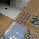 Dixie Basic 8.5 Inch Light-Weight Paper Plates by GP PRO, White, 500 Count (125 Disposable Plates Per Pack, 4 Packs Per Case), DBP09W