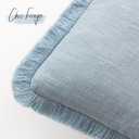 Foindtower Set of 2 Decorative Linen Fringe Throw Pillow Covers Cozy Boho Farmhouse Cushion Cover with Tassels Soft Accent Pillowcase for Couch Sofa Bed Living Room Home Decor,2626 Inch,Sky Blue