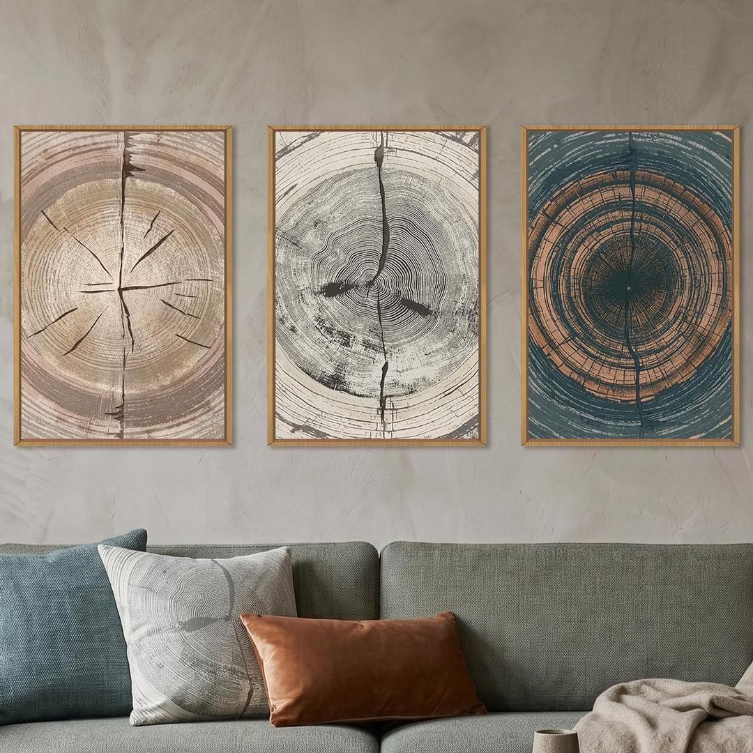 DRACIT Vintage Wood Tree Ring Framed Canvas Wall Art Set-16"x24"x3