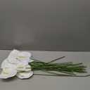 Hanaive 20 Pcs Artificial Anthurium Flowers, White, 23.6 Inch
Faux Anthurium Flowers for Wedding Vase DIY Bouquets Table Centerpiece Arrangements Bridal Shower Party Home Decor