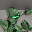 Vickerman 21.5" Midnight Green Poinsettia, 6 pack