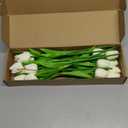 20Pcs Cream Tulips Artificial Flowers Real Touch PU Faux Tulips 18 Buds & 2 Fully Blooms Fake Flowers for Home Decor - Easter Spring Table Arrangement (Bedroom, Living Room, Kitchen)