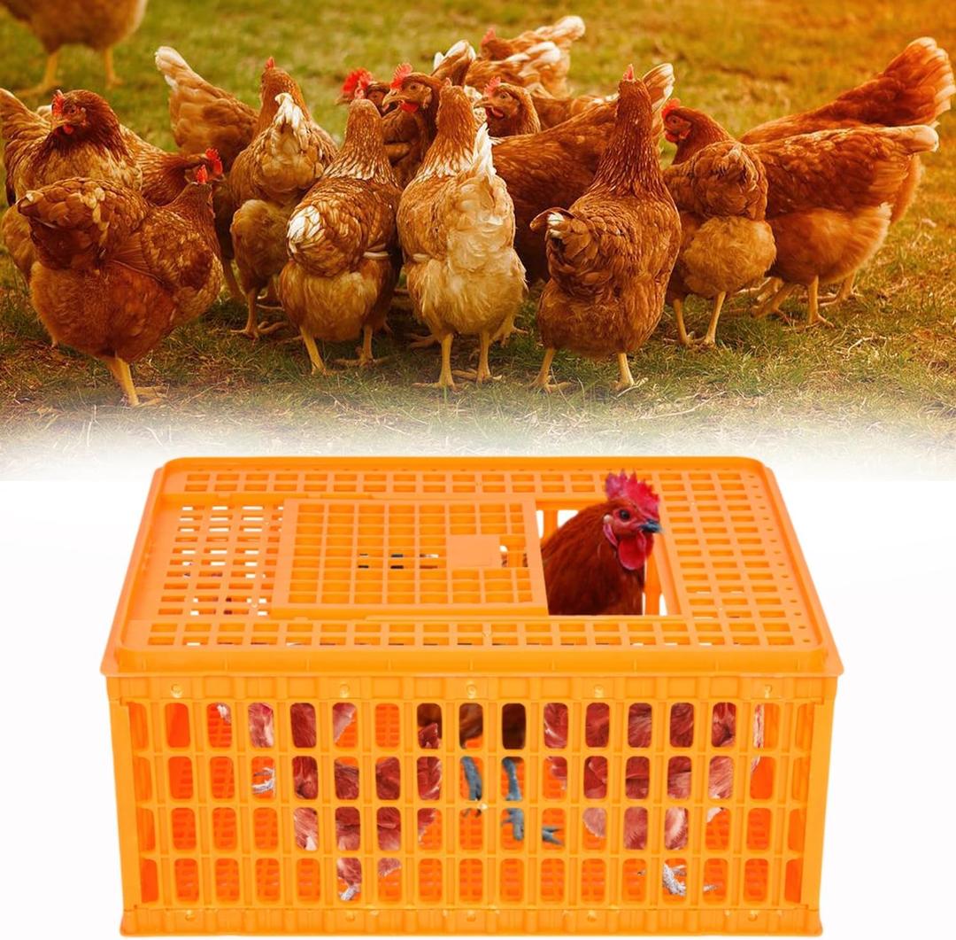 lukar 1 Piece Poultry Carrier Crate Plastic Chicken Transport Cage Heavy Duty Chicken Crates Transport Box for 10-13 Adult Chickens Duck Goose Birds, 29.5 x 21.7 x 13 Inch