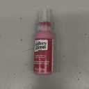 Gallery Glass, Holiday Berry Stained Glass 2 fl oz Brilliant Smooth Finish Paint, Perfect for Easy to Apply DIY Arts and Crafts, 19696
