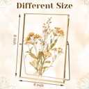 Vicenpal 3 Pack Glass Pressed Flower Frame Handmade, 6 x 8 Floating Picture Frames for Pressed Flowers, Brass Double Glass for Tabletop Display, Home Office Plant Specimen, Photos(Gold)