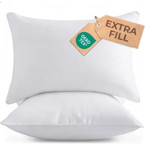 Throw Pillow Inserts 20x20 Set of 2 - Fluffy Down Alternative Fill - 10% More Fill Than Standard Loft - Plump Bounce-Back Support for Indoor & Outdoor Use - Hypoallergenic & Machine Washable - White