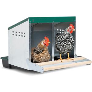 2 Compartment, Reverse Rollout & Rollaway, Hen & Chicken Nesting Box with Integrated Wood Perches and Protective Egg Laying Collection Lids