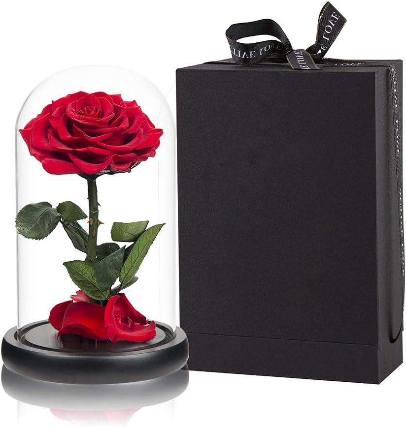 Red Roses Handmade Rose in Glass Dome, Preserved Flowers Never Withered Romantic Gifts for Her, Mother's Day, Birthday Gifts for Women