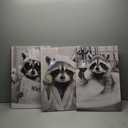 Funny Raccoon Bathroom Canvas Wall Art set of 3 Black and White Cute Poster Print Artwork Humor Adorable Animals Pictures Wall Decor for Washroom Restroom laundry 16x24in