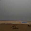 YEPDIN 7 FT Fake Palm Tree,Tall Artificial Palm Trees for Outdoor Indoor Decor,Faux Phoenix Palm Plants for Outside Patio Pool Coastal Home Office Living Room