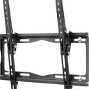 Peerless-AV Equamont Tilt TV Wall Mount
22 x 50