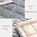 Mivnue Pet Couch Cover, Couch Covers for Dogs, Washable Dog Sofa Covers Couch Protector, Fuzzy Non Slip Couch Slipcover Pet Friendly (Light Grey, 27.6" x 70.9")