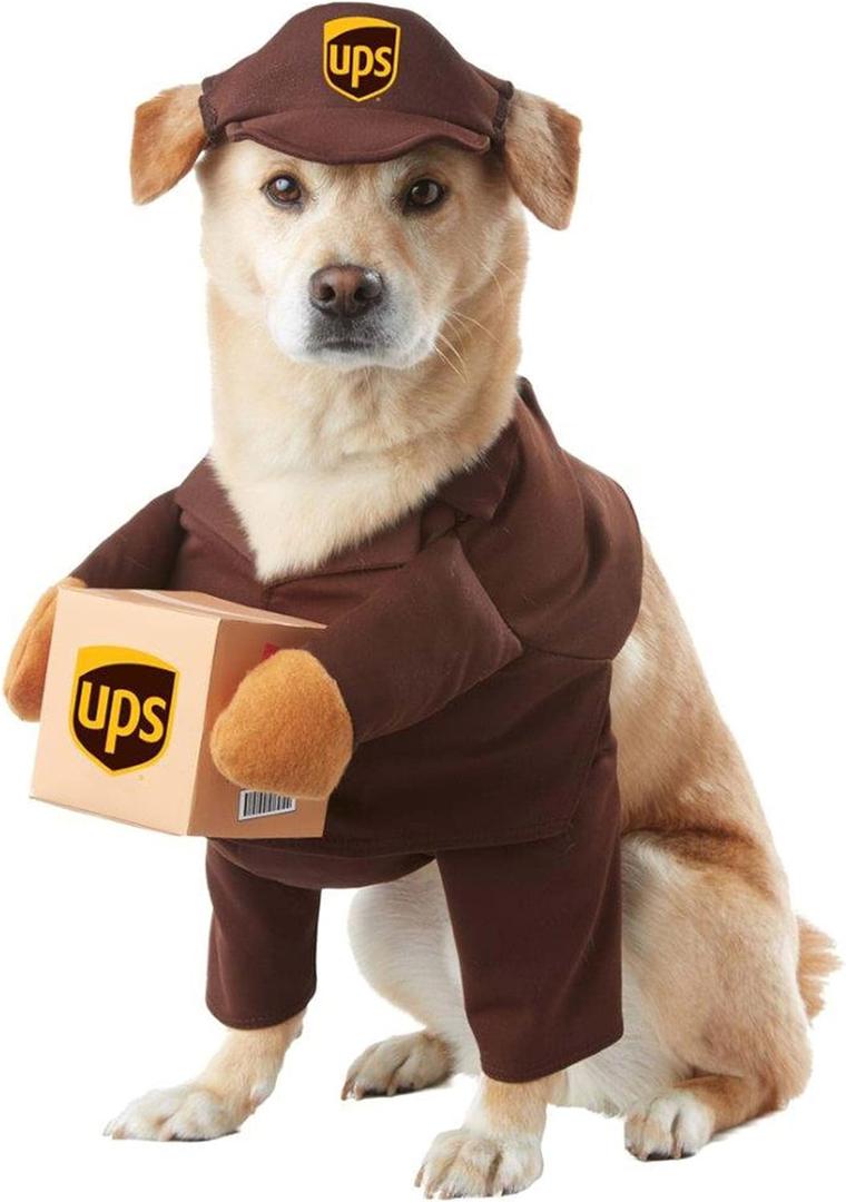 UPS Pal, Dog Costume, Medium