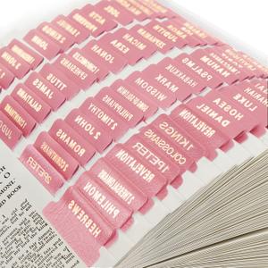 DILIBRA Leather Bible Tabs, Personalized Bible Journaling Tabs for Women and Girl, 100 Bible Index tabs in Total, 73 Tabs for Old and New Testament, Additional 27 Blank Tabs (Pink)