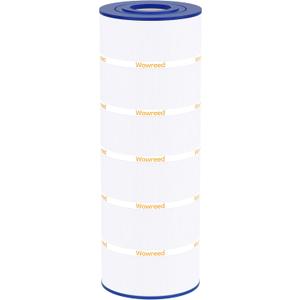 Pool Filter Compatible with SwimClear C200S, CX200XRE, C-9442, PA200S, 1 Pack