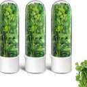 Herb Keeper for Refrigerator, Herb Saver for Refrigerator, Cilantro Container, Vegetable Preservation Bottle for Cilantro, Mint, Parsley, Asparagus, Keeps Greens Fresh for 2-3 Weeks (3PCS)