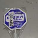 Imagine This S3862 Security Sign