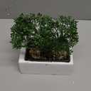 Artificial Bonsai Tree Juniper Faux Plants Indoor Small Fake Plants Decor with Ceramic Pots for Home Table Office Desk Bathroom Shelf Bedroom Living Room Farmhouse Decorations