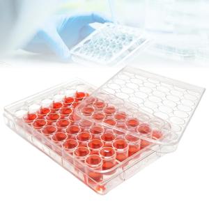 48-Well Culture Plate - Tissue Culture Treated Plate with LidsPolystyreneFlat Bottom Individual Wrapped (Pack of 5)