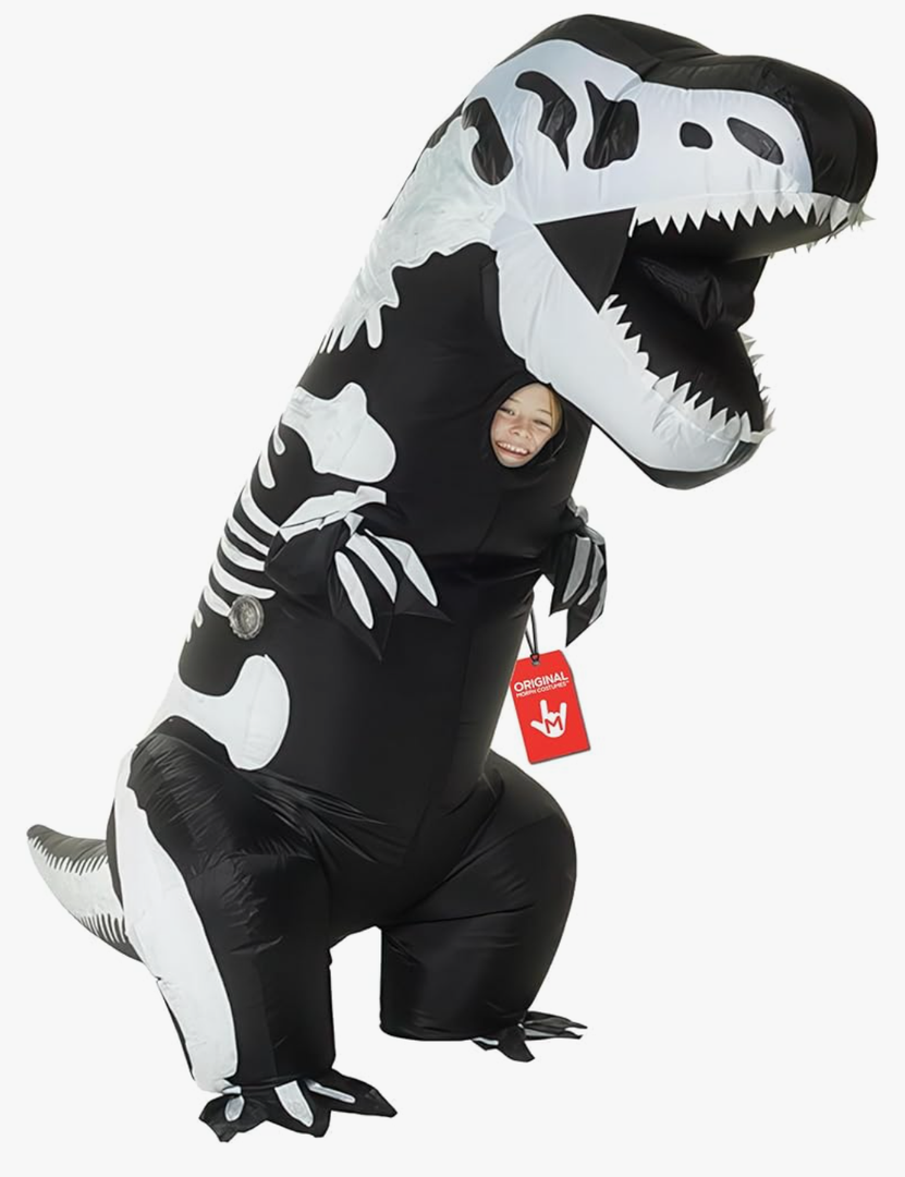 Morph Cowgirl Outfits for Girls, Cowgirl Costume for Girls, Halloween Costume Kids