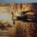 OWTXPXRY Jesus Running After Lost Sheep Canvas Wall Art, 24x36in