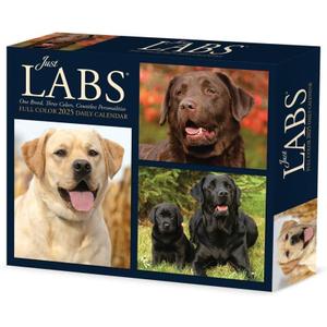 Labs 2025 6.2" x 5.4" Box Calendar