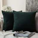 MIULEE Pack of 2 Velvet Soft Solid Decorative Square Throw Pillow Covers Set Christmas Cushion Case for Spring Sofa Bedroom Car 20x20 Inch 50x50 cm 
