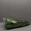 Single Silky Artificial Boston Fern Bush, 49Inch Large Artificial Ferns for Outdoors, Large Faux Ferns Artificial Plants,Suitable for Decorating Office, Living Room Faux Greenery,95Branches