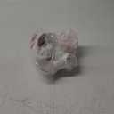 Female Pelvis Model with Pelvic Floor Muscles Perineal Model Female Anatomy Model 1:1 Life Size Human Skeleton Medical Science Educational Equipment Anatomy Medicine