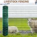 Tongmo 2 ft x 100 ft Green PVC Coated Welded Wire Fence, 16GA Garden Chicken Wire Fence Roll, Mesh Size 2" x 4" Hardware Cloth, Ideal for Yard Protection and Poultry Netting