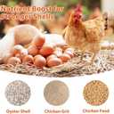 Chicken Oyster Shell Feeder and Grit Feeder Combo/Can be Suitable for Baby Chick, Duck, Turkey Feeders