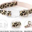 Mile High Life Leopard Dog Harness Collar Leash Set, Adjustable No Pull Dog Halter Harness for Small Breed Dogs, Easy Control for Training Walking (Beige, M Chest 15"-21", Neck 13"-17")
