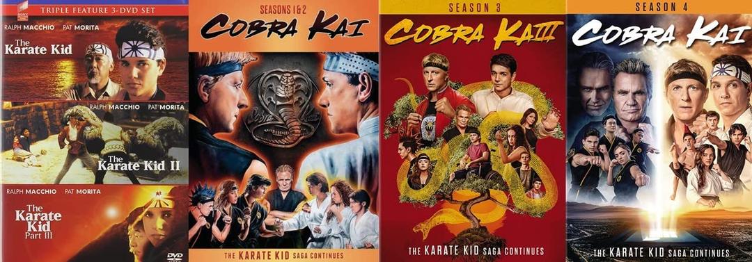 Cobra Kai - Season 1 2 3 & 4 / The Karate Kid : 3-Movie Collection [Martial Arts DVD 4-Pack], Format: DVD