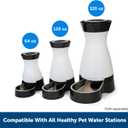PetSafe Healthy Pet Water Filter, for Healthy Pet Water Station for Dogs and Cats