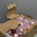 Wettarn 24 Pcs 4 Inch Glittering Christmas Balls Fantasy Plastic Shiny Christmas Iridescent Ornaments Balls for DIY Crafts Hanging with Lid and Rope for Xmas Tree Party Decor(Ruby)