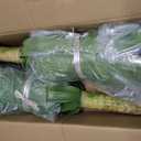 Artificial Agave Faux Agave Fake Greenery Outdoor Artificial Plants Fake Plants for Indoor Home Decor Plastic Plants Outdoor Decor Front Porch Decor Simulation Plants 22"(2Pcs Green) No Vase