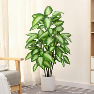 FLOWORLD Artificial Golden Dieffenbachia 4ft Tall Artificial Plants Indoor Decorative Silk Plants Potted Faux Tropical Tree Lifelike House Floor Large Fake Tree for Home Living Room