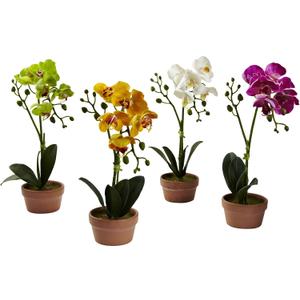 Nearly Natural Phalaenopsis Orchid with Clay Vase (Set of 4)
