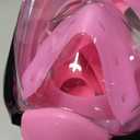 Greatever G2 Full Face Snorkel Mask with Latest Dry Top System,Foldable 180 Degree Panoramic View Snorkeling Mask with Camera Mount,Safe Breathing,Anti-Leak&Anti-Fog (Small/Medium, Pink)