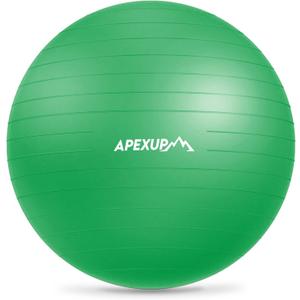 APEXUP Yoga Ball Exercise Ball Anti Slip Heavy Duty for Fitness, Balance & Core Workout (L (23"~26") 65cm, Dark Green)