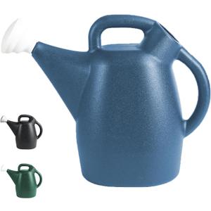 Chapin 48010 Watering Can, 2 Gallon, Indoor and Outdoor Plants, Lawn, Garden, Removable Nozzle, Drip-Free Sprinkler Head, Recycled Plastic, Blue