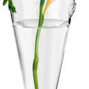 Clear Circular Cone Glass Wall Hanging Vase Flower Vase Bottle for Plant Holder Flower Creative Decor Cone Type Vase Succulent Planter Arrangement for Bedroom Kitchen Living Room Office