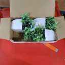 Der Rose 4 Pack Fake Plants Mini Artificial Greenery Potted Plants for Home Decor Indoor Office Table Room Farmhouse Bathroom Decor