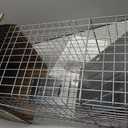 HAVAHART 1079SR Large 1-Door Humane Catch and Release Live Animal Trap Cage - Live Raccoon Trap, for Bobcats, Beavers, Dogs, & More