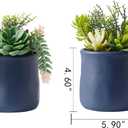 Artificial Succulent in Ceramic Pots, 2 Packs Large Faux Fake Plants Navy Blue for Desk,Office, Bedroom, Living Room, Bathroom Office Shelf Home Dcor